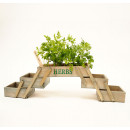 mini-jardim
