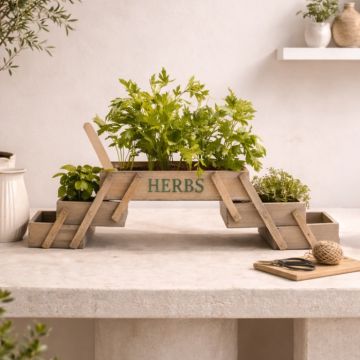 mini-jardim-modelo-pregavel