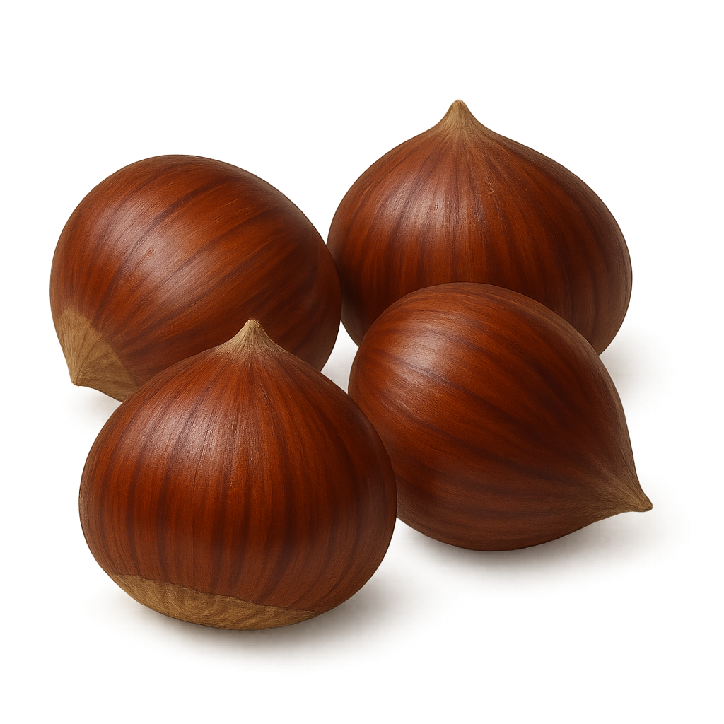 ilustración concurso